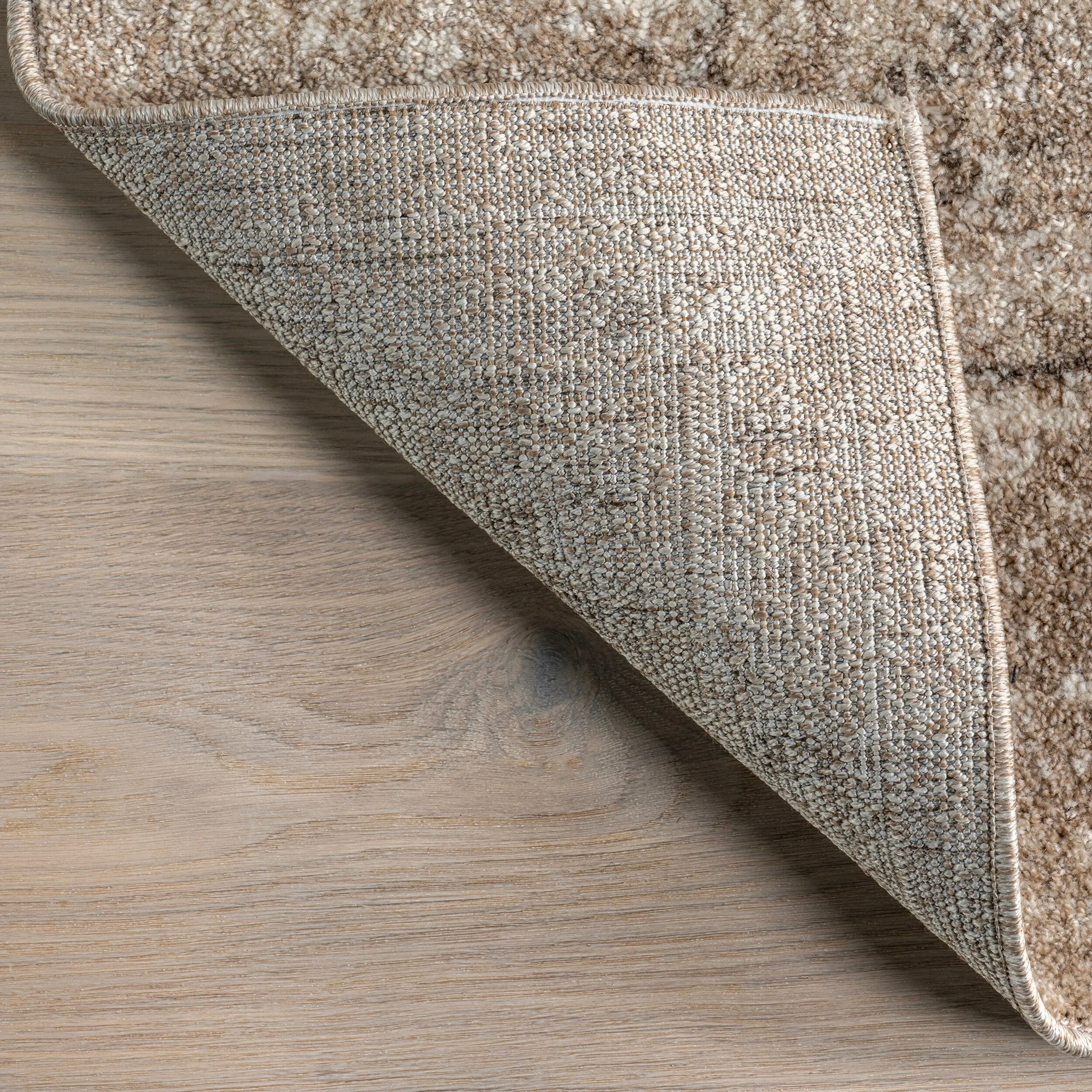 Nuloom Gena Distressed Transitional Medallion Area Rug