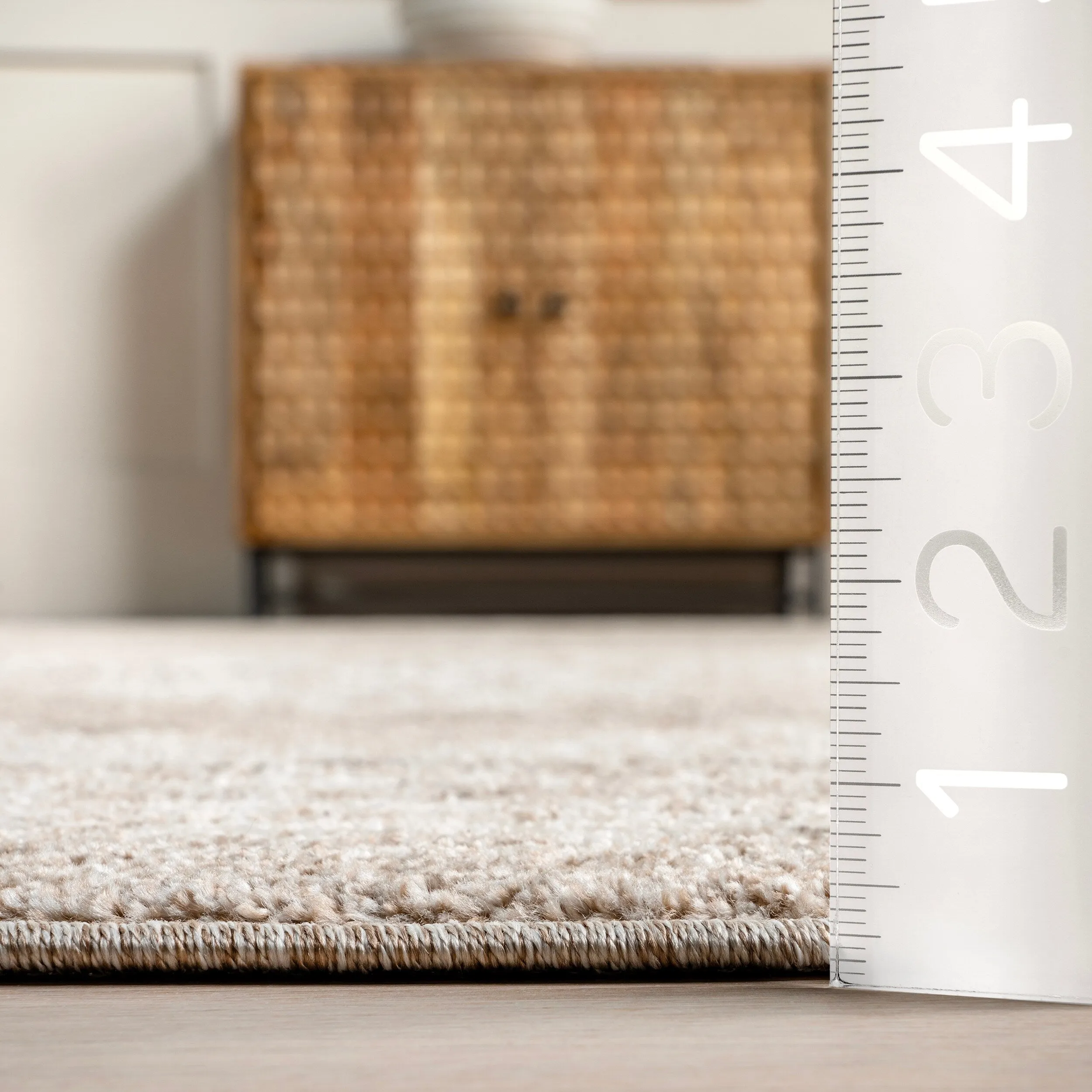 Nuloom Gena Distressed Transitional Medallion Area Rug