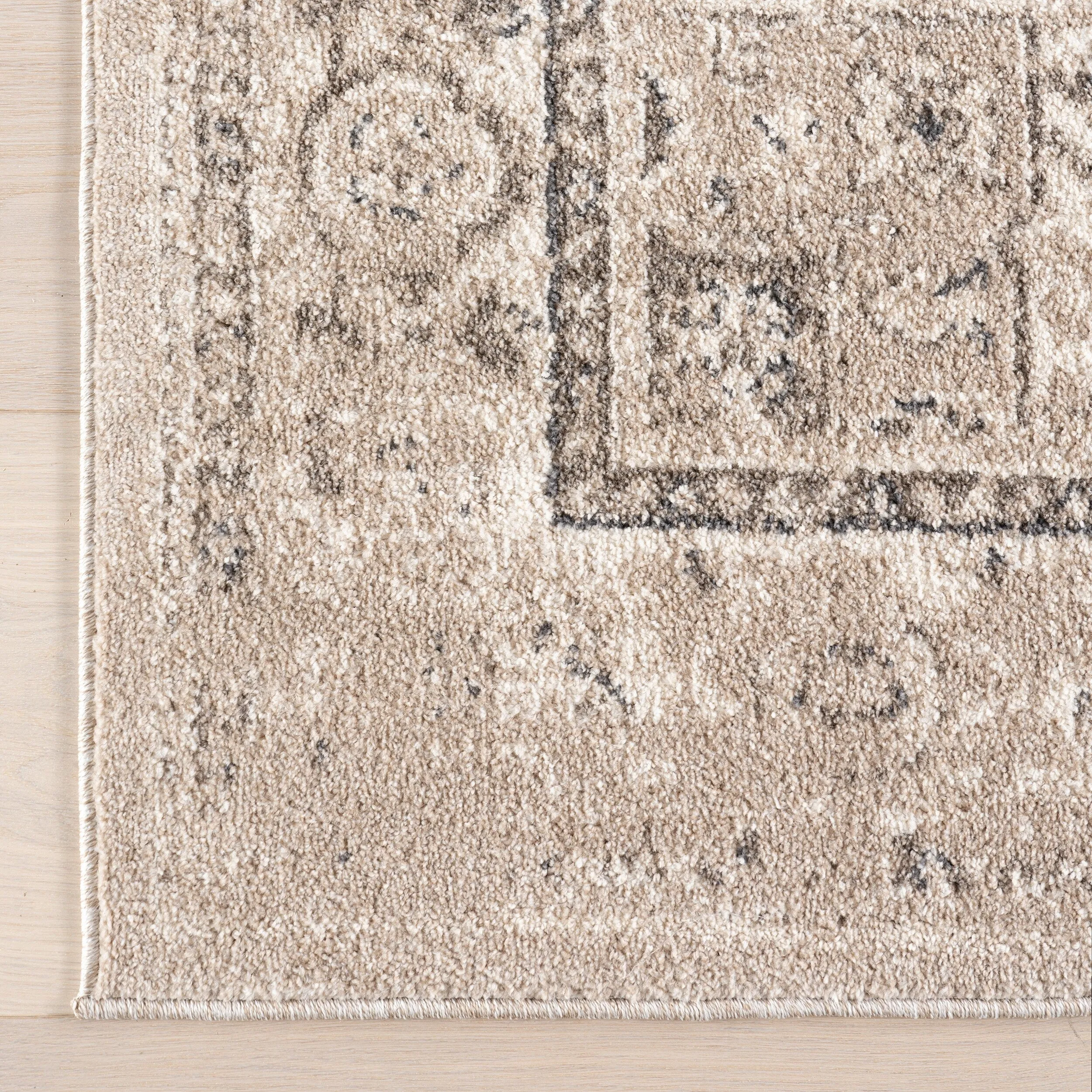 Nuloom Gena Distressed Transitional Medallion Area Rug