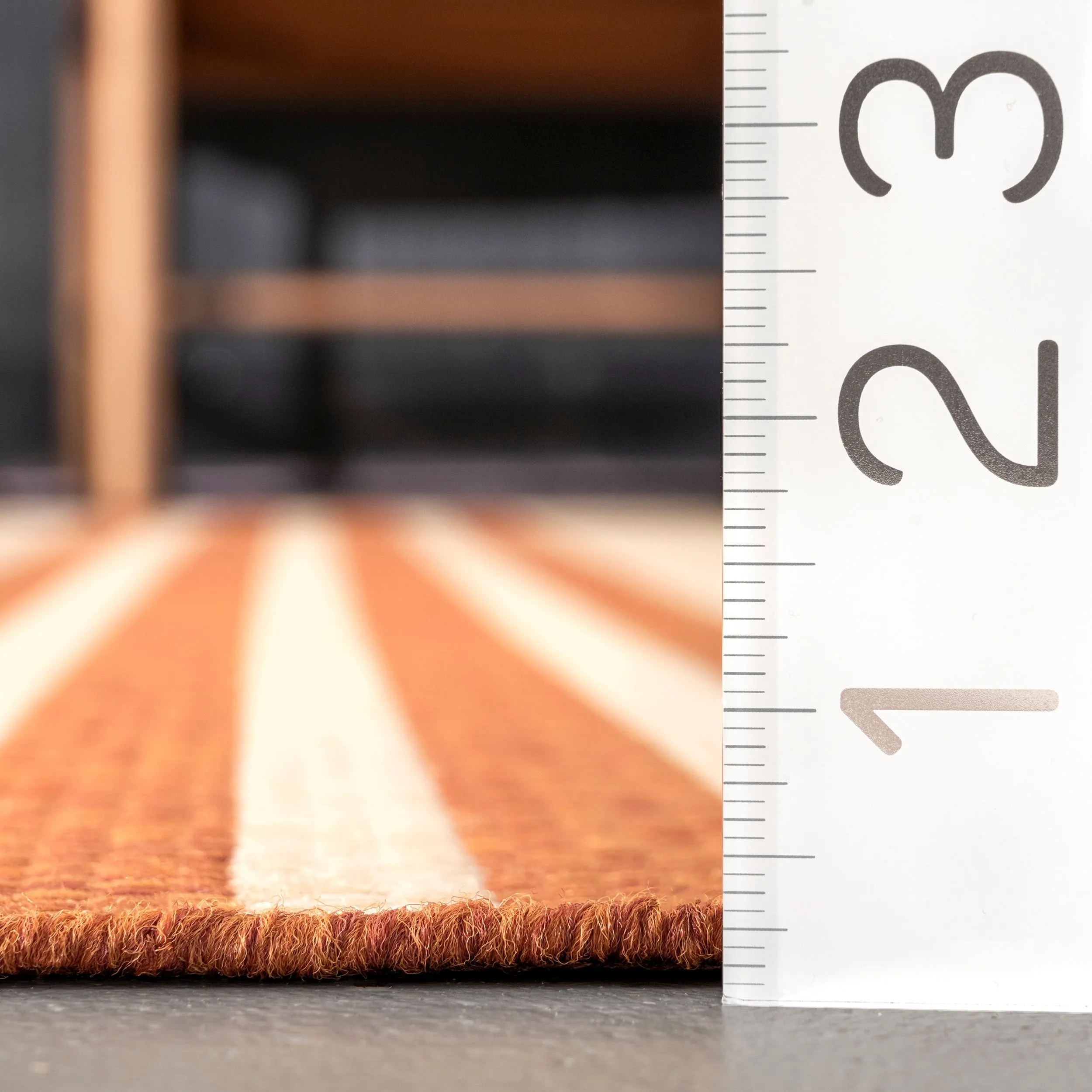 Nuloom Kristen Striped Indoor/Outdoor Area Rug