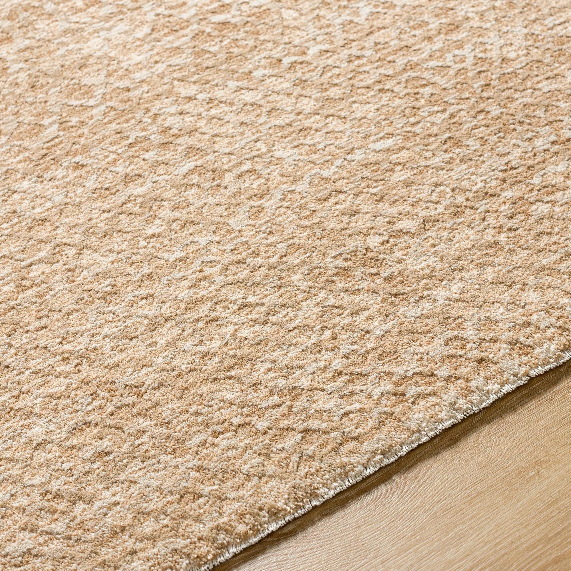 Olson Global Area Rug