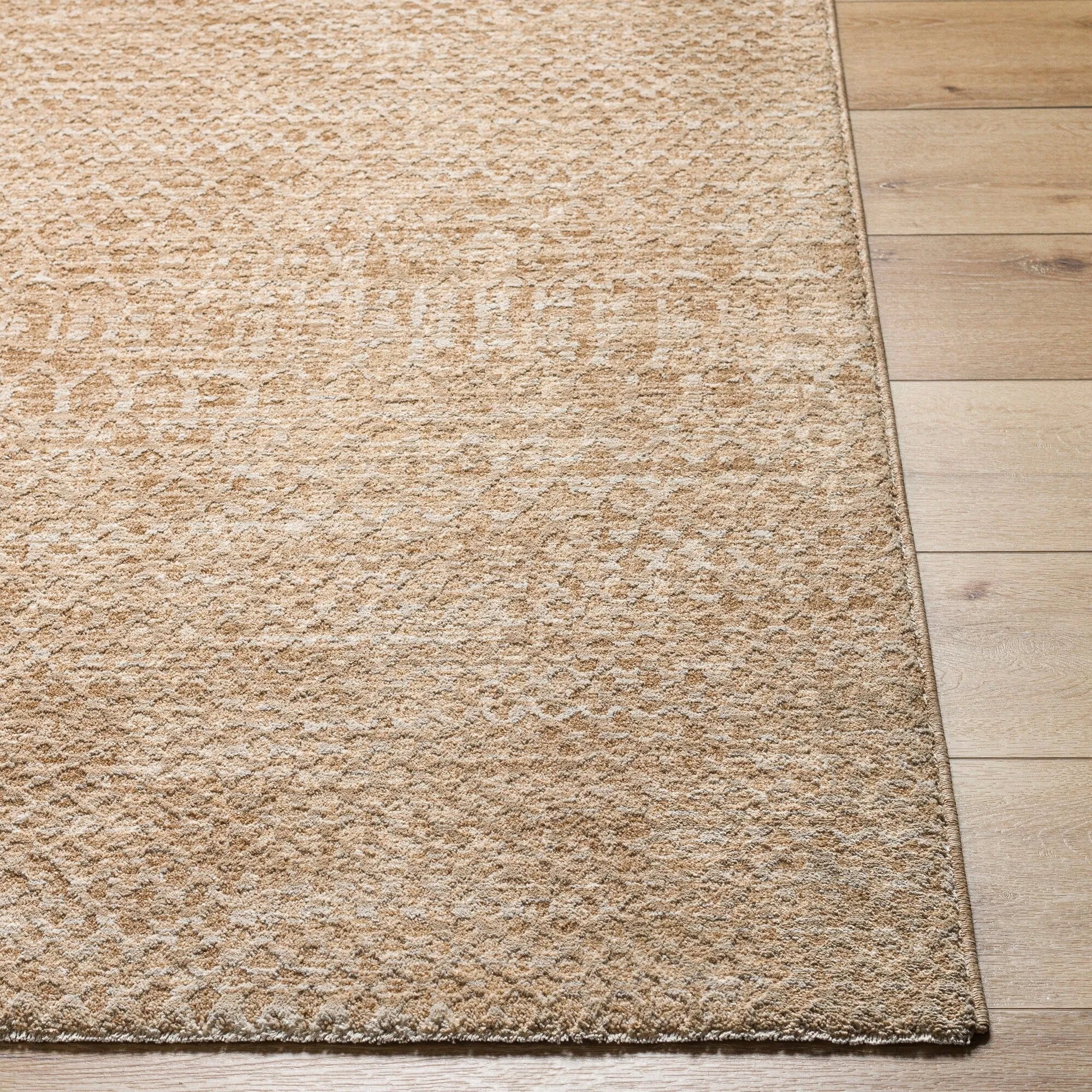 Olson Global Area Rug