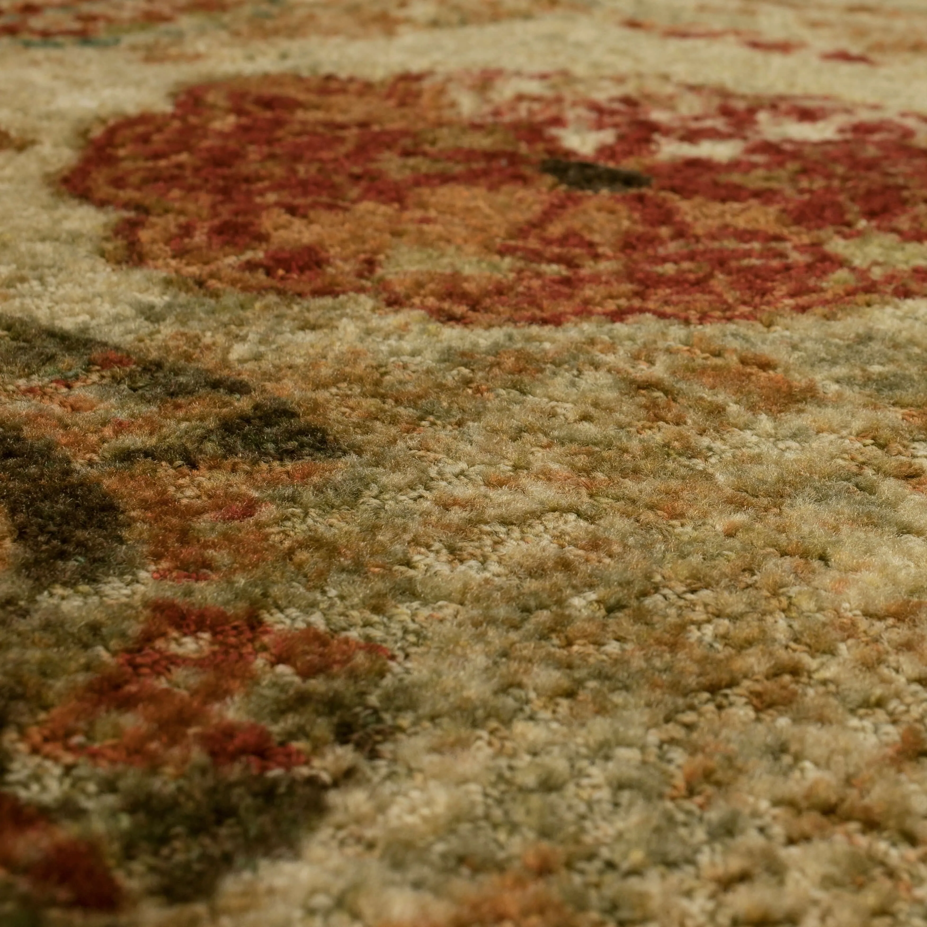 Porch & Den Bexley Floral Medallion Area Rug