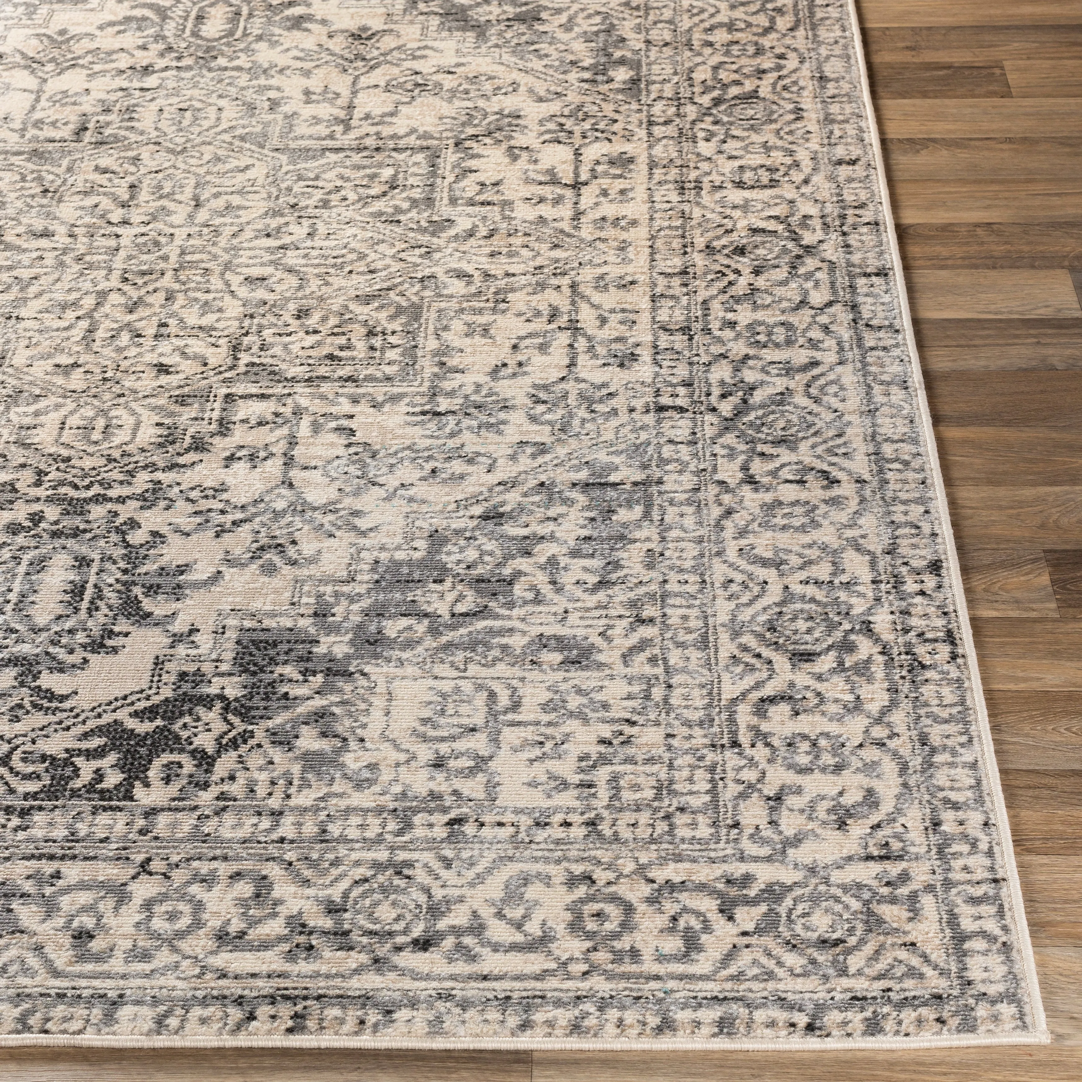 Porch & Den Estuary Traditional Distressed Medallion Area Rug
