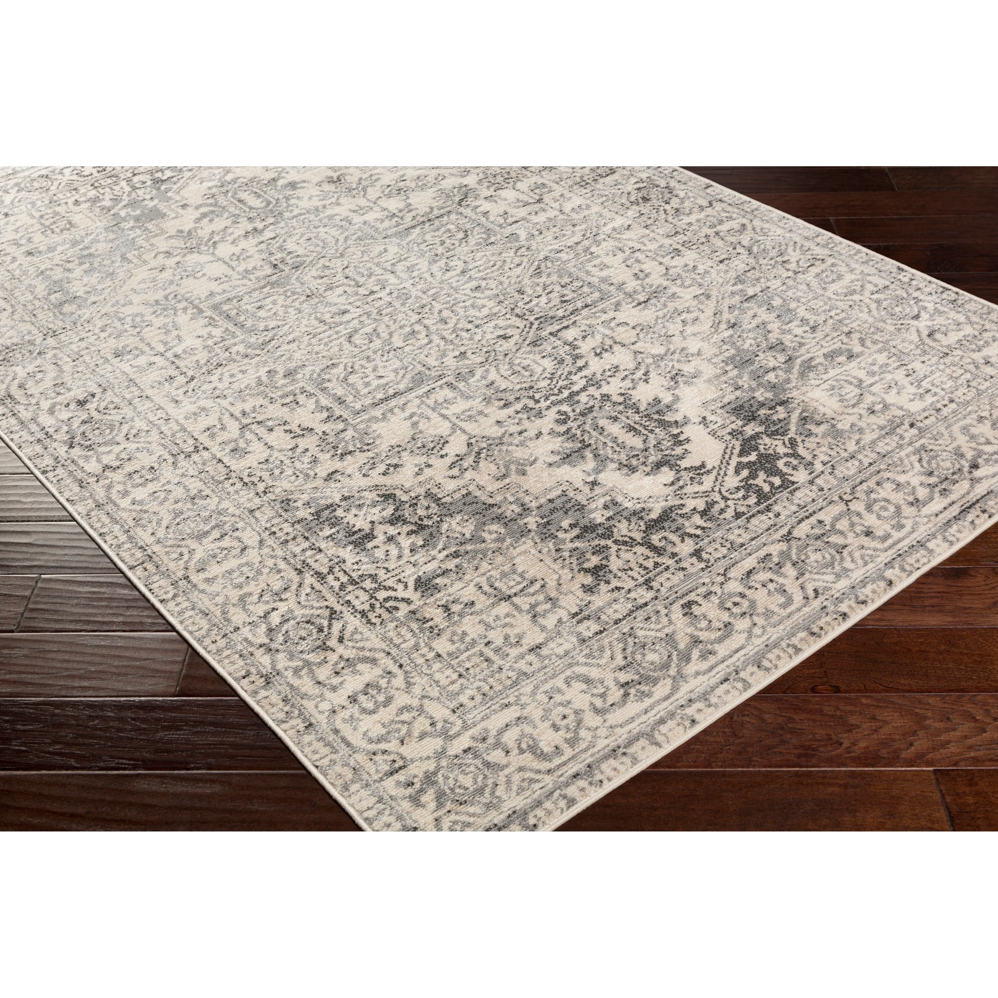Porch & Den Estuary Traditional Distressed Medallion Area Rug