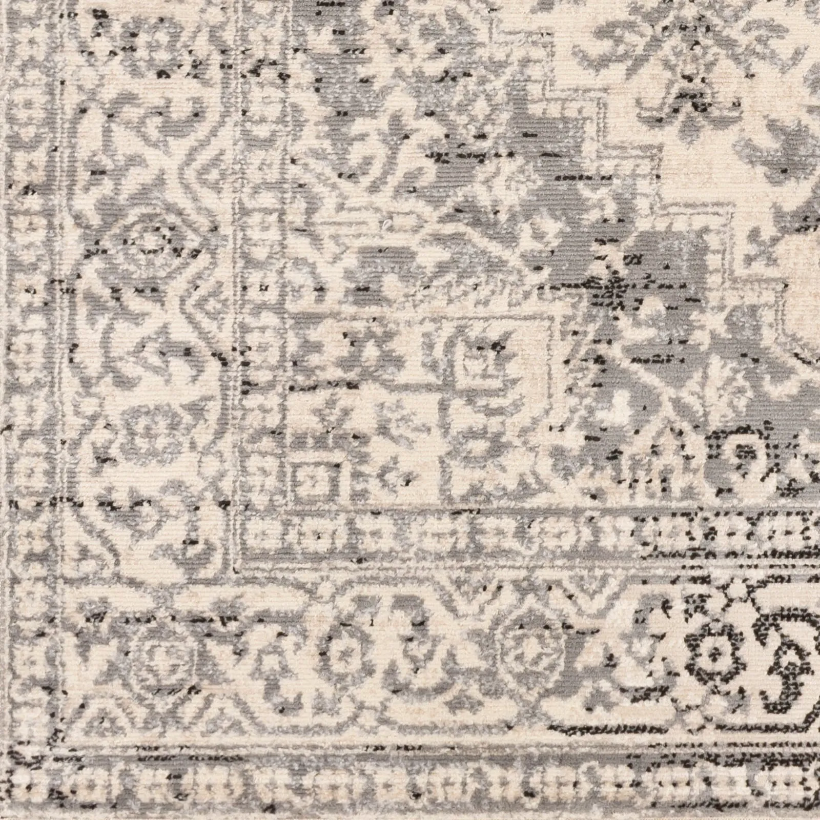 Porch & Den Estuary Traditional Distressed Medallion Area Rug