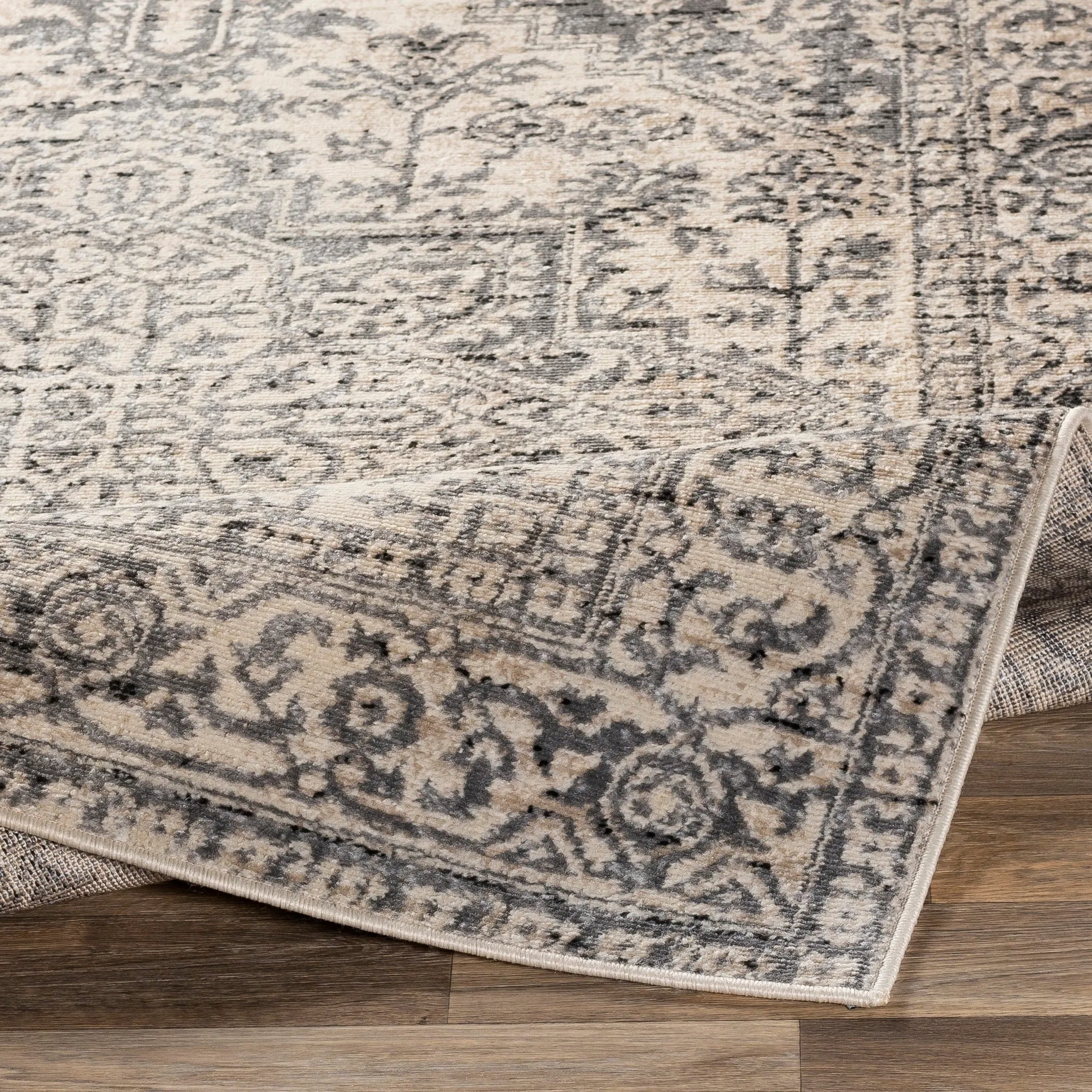 Porch & Den Estuary Traditional Distressed Medallion Area Rug