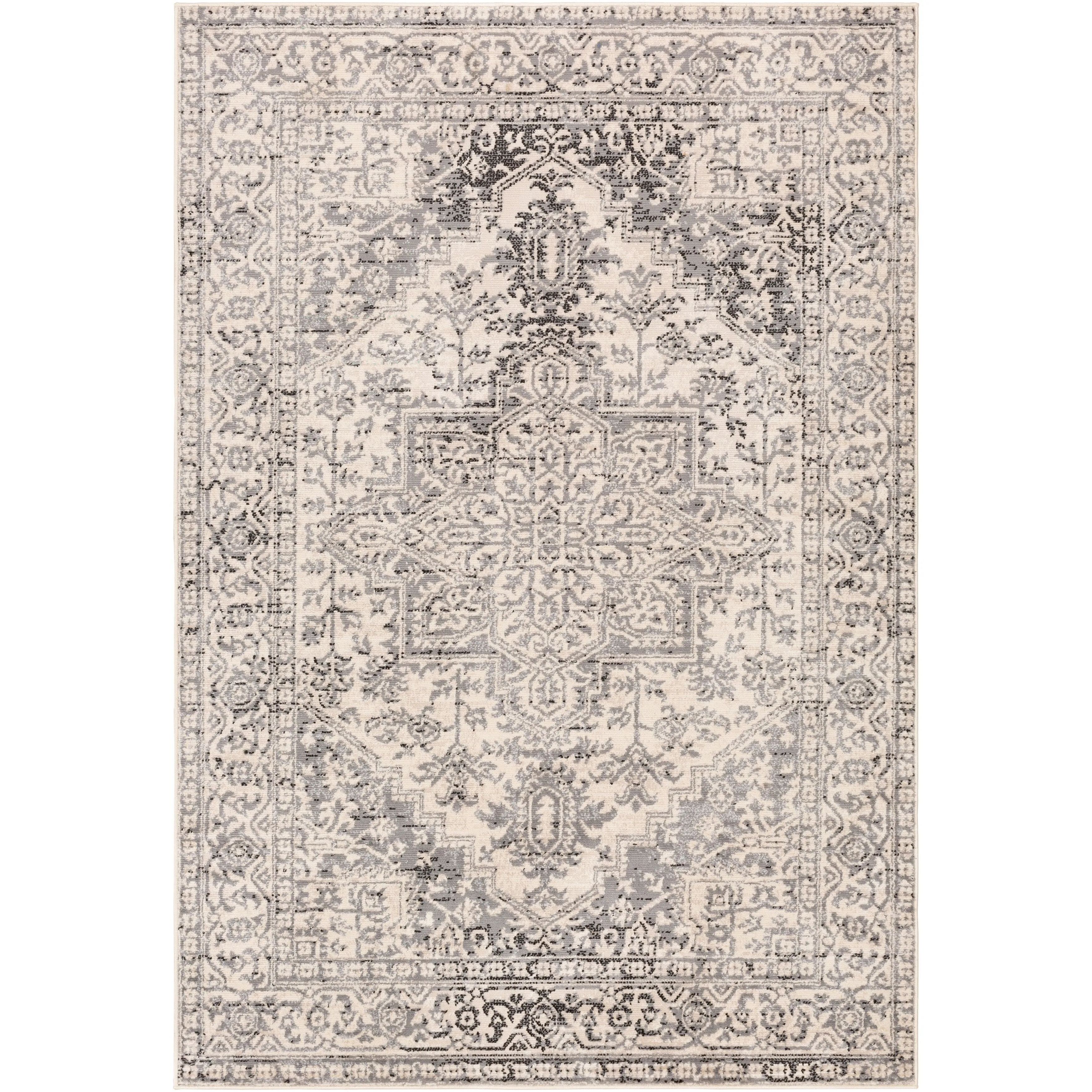 Porch & Den Estuary Traditional Distressed Medallion Area Rug
