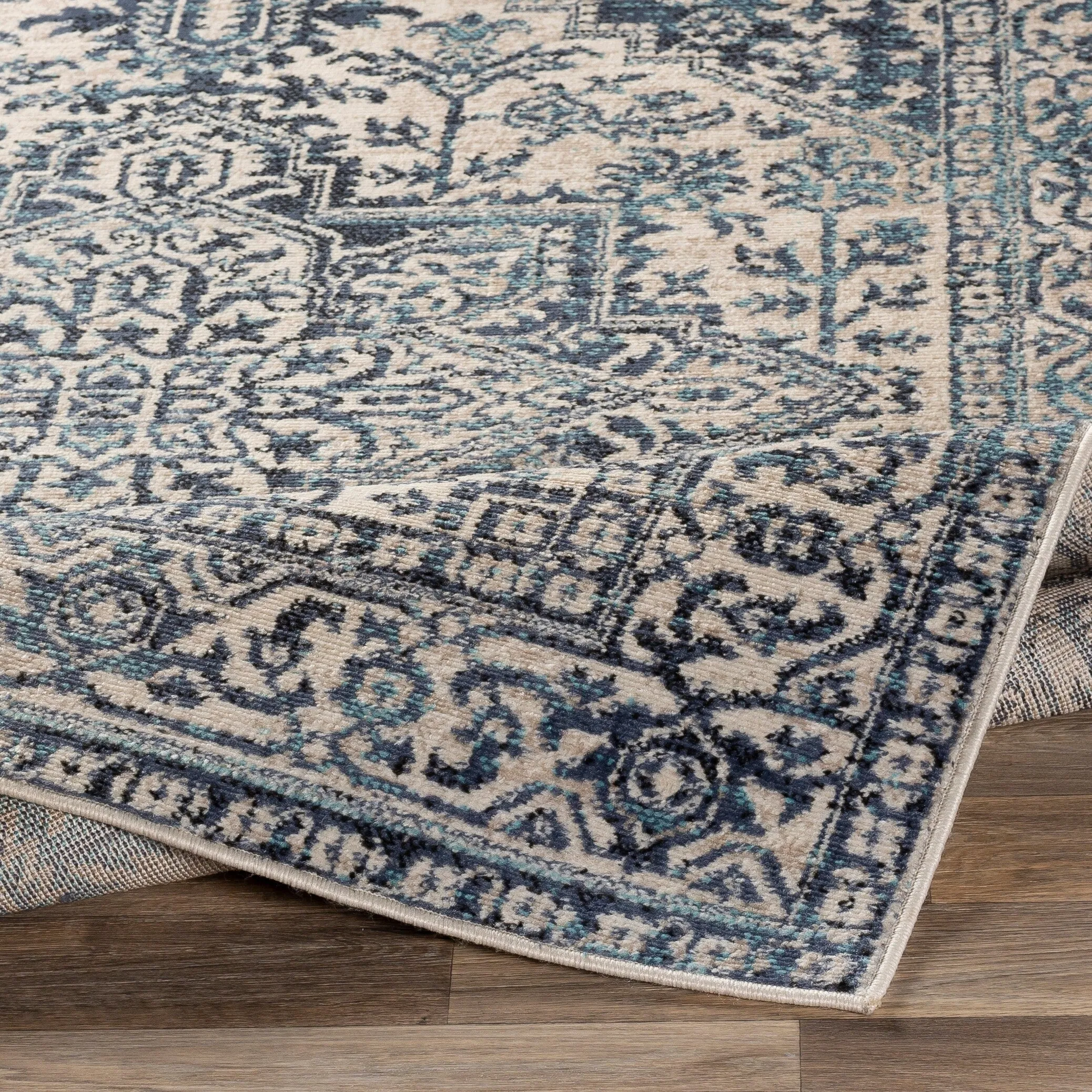 Porch & Den Estuary Traditional Distressed Medallion Area Rug