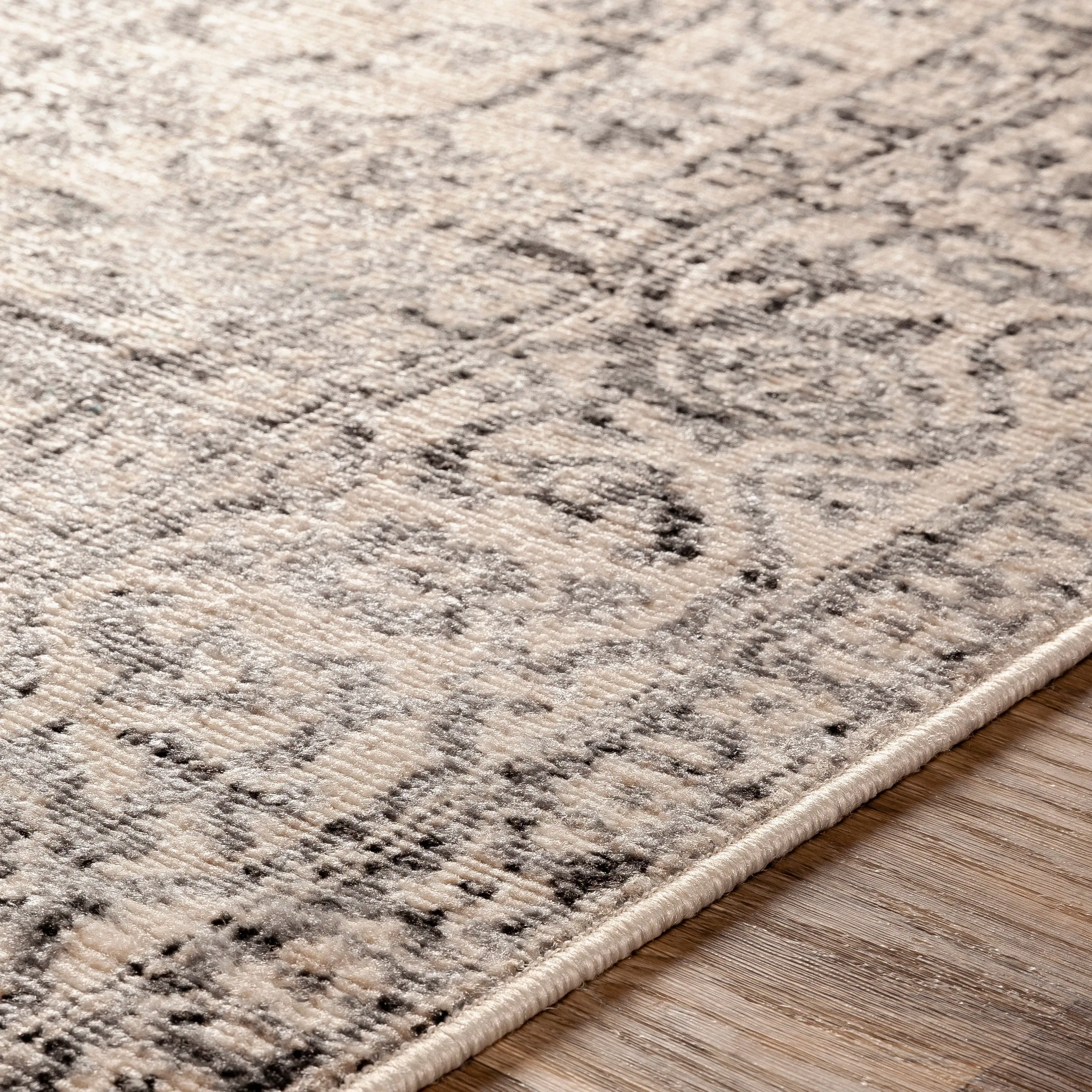 Porch & Den Estuary Traditional Distressed Medallion Area Rug