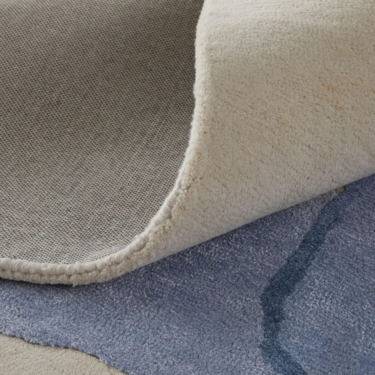 Ramiro R8887 Abstract Transitional Area Rug