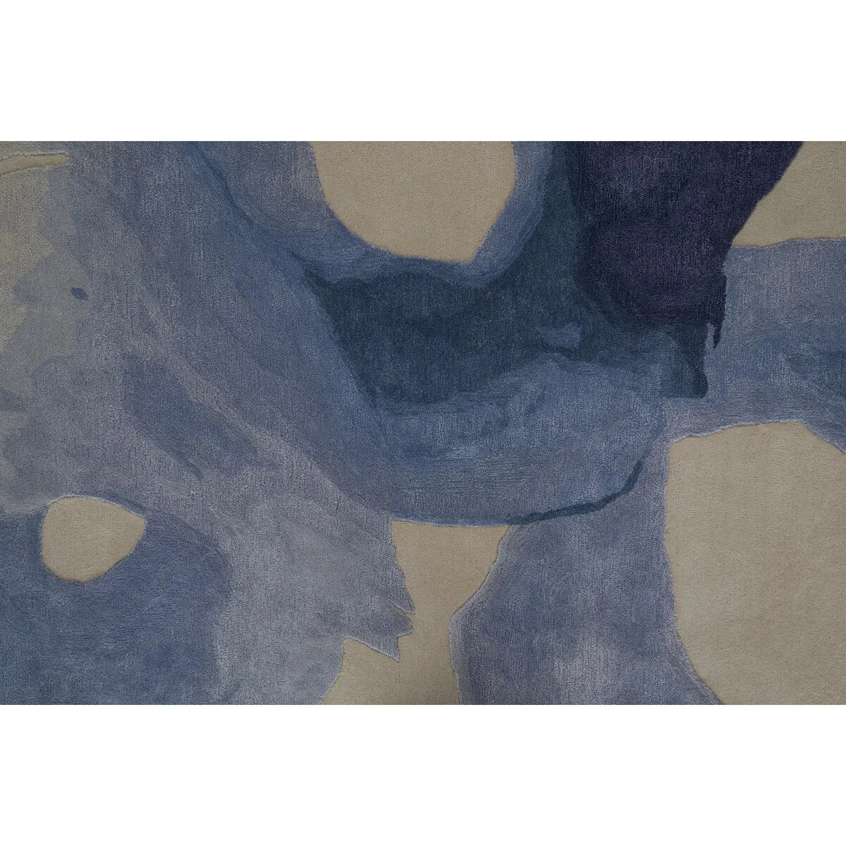 Ramiro R8887 Abstract Transitional Area Rug