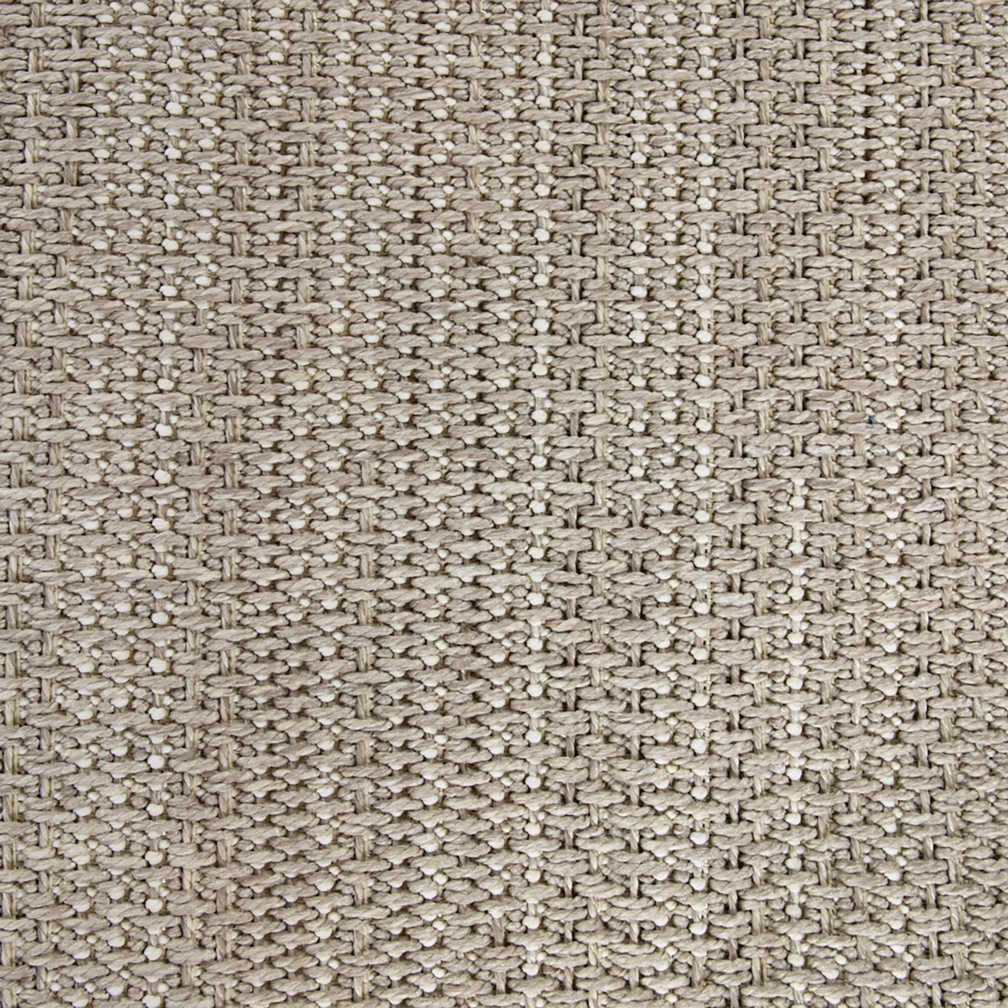 Renwick Indoor/ Outdoor Flatweave Area Rug