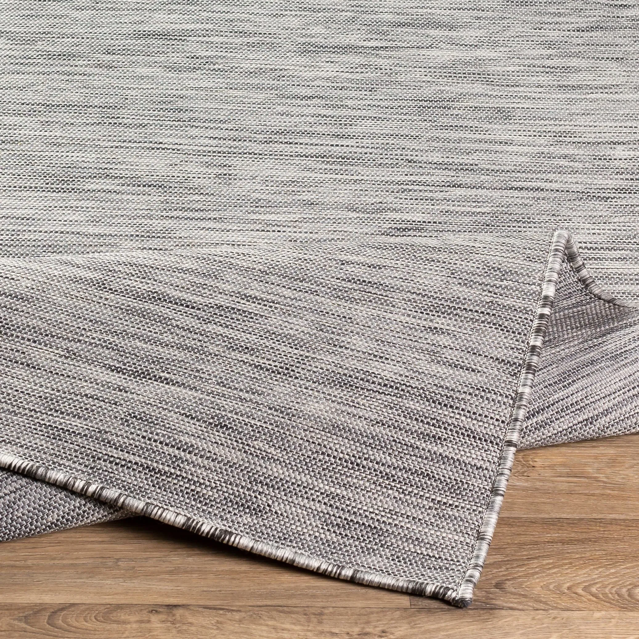Sabine Indoor / Outdoor Heathered Area Rug
