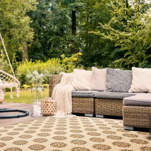 SAFAVIEH Beach House Indoor/ Outdoor Waterproof Patio Backyard Rug