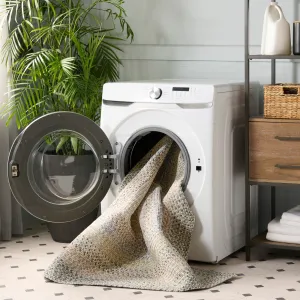 SAFAVIEH Handmade Braided Hrodny Machine Washable Country Rug