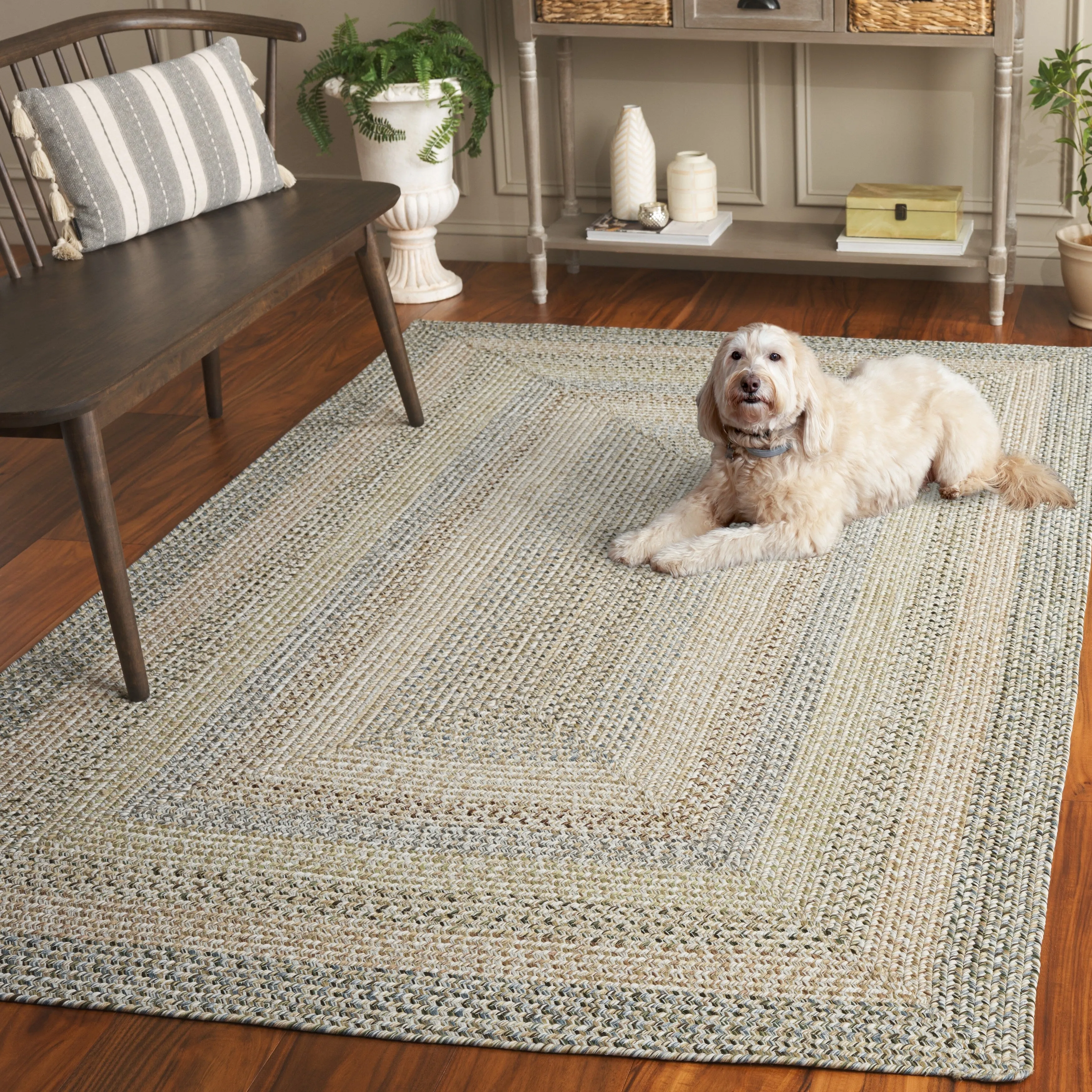 SAFAVIEH Handmade Braided Hrodny Machine Washable Country Rug