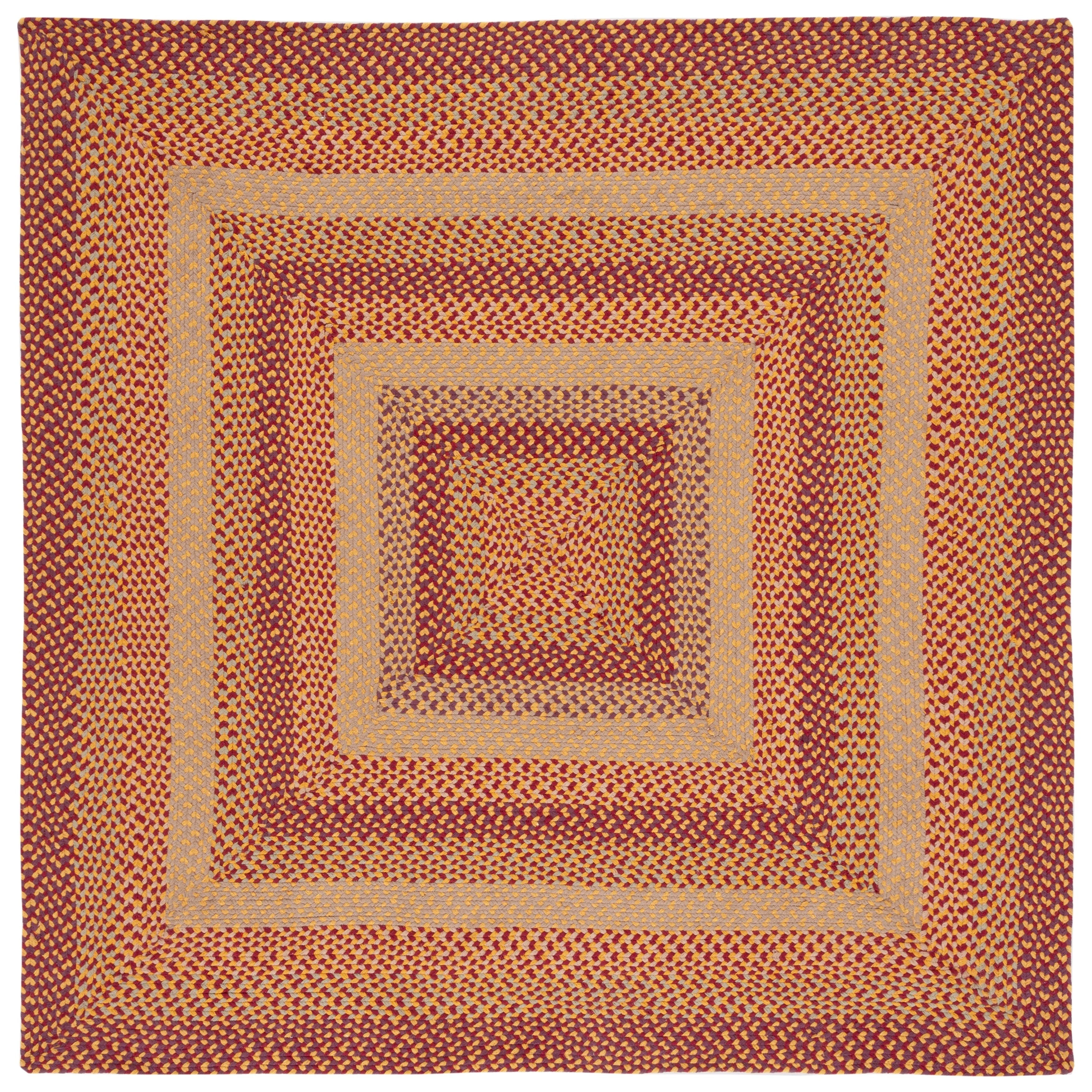 SAFAVIEH Handmade Braided Sylvianne Cotton Rug