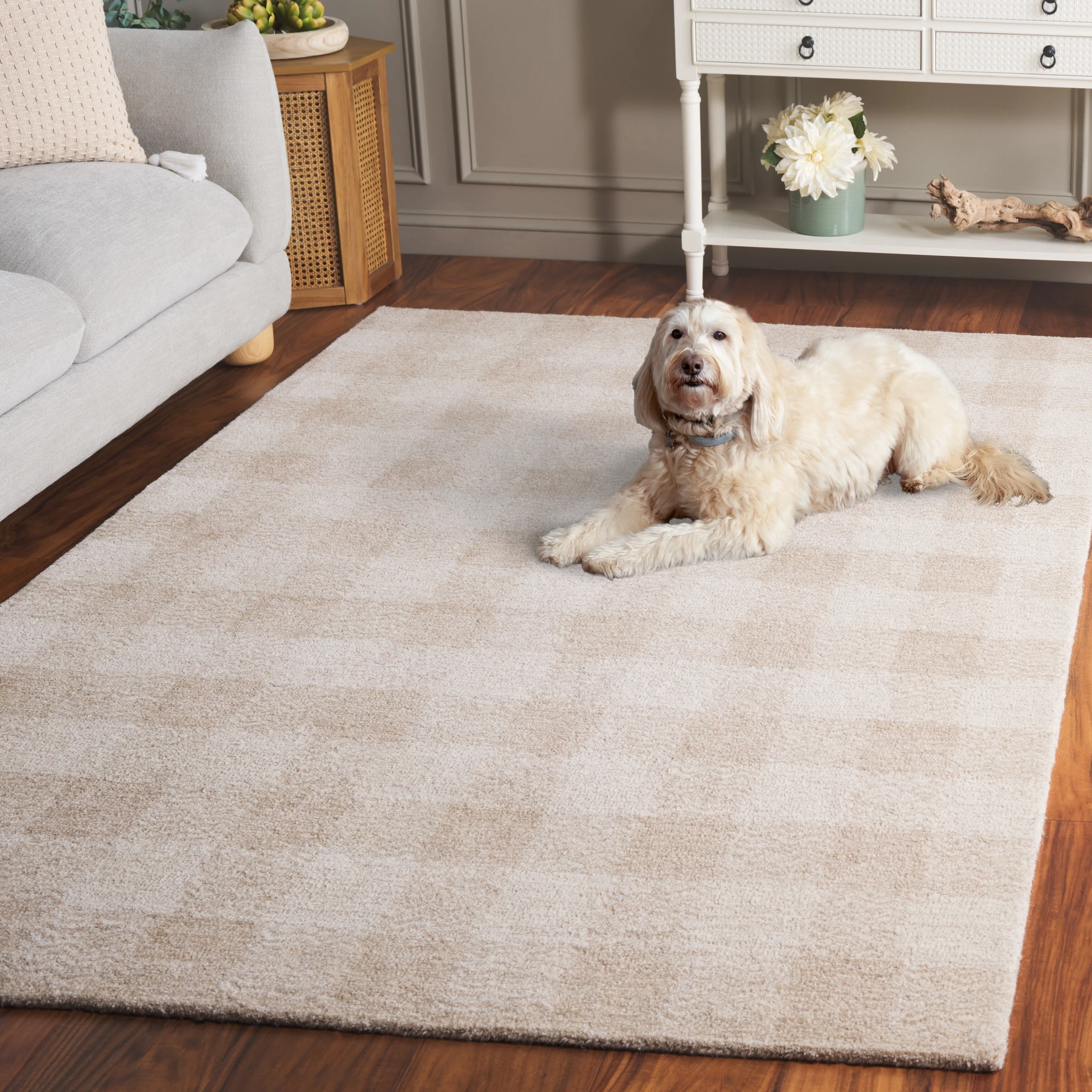 SAFAVIEH Handmade Genre Majlinda Farmhouse Gingham Wool Rug