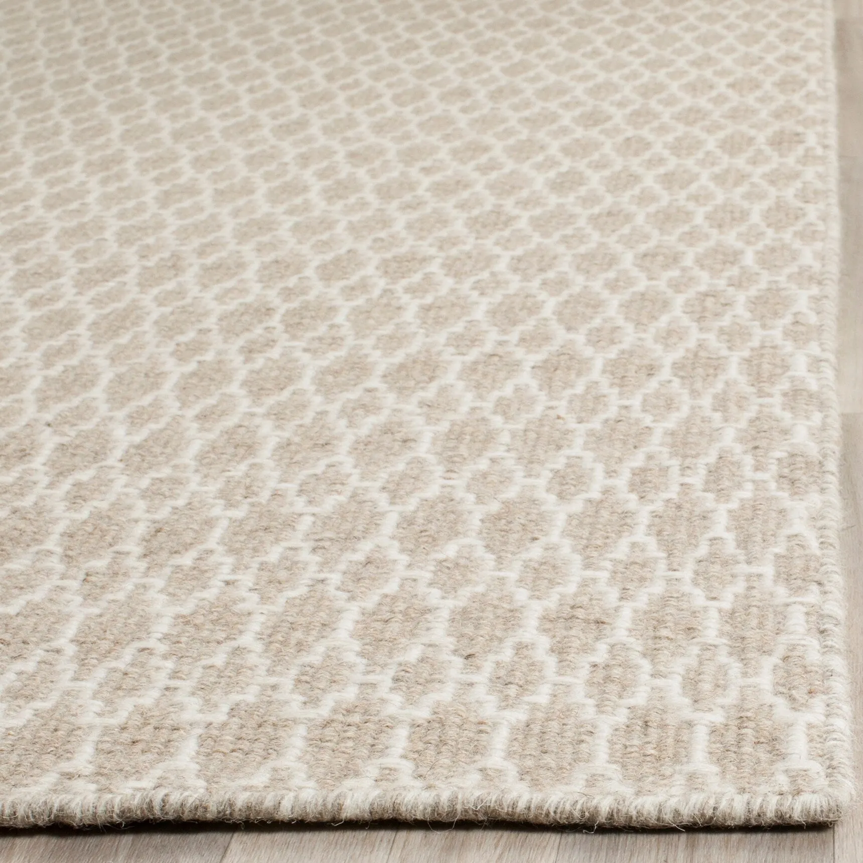 SAFAVIEH Handmade Oasis Pieternel Casual Wool Rug
