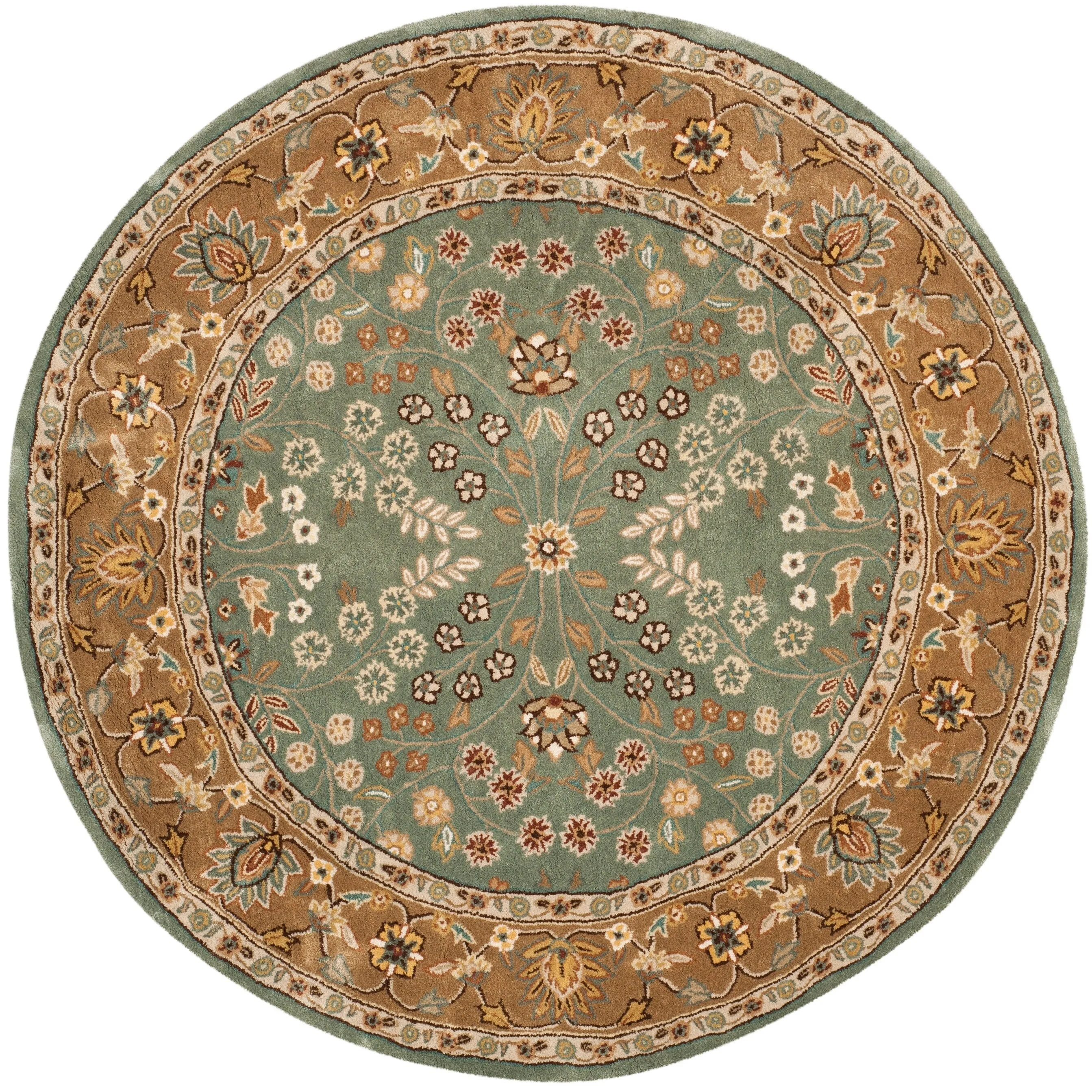SAFAVIEH Handmade Total Performance Bitten Oriental Rug