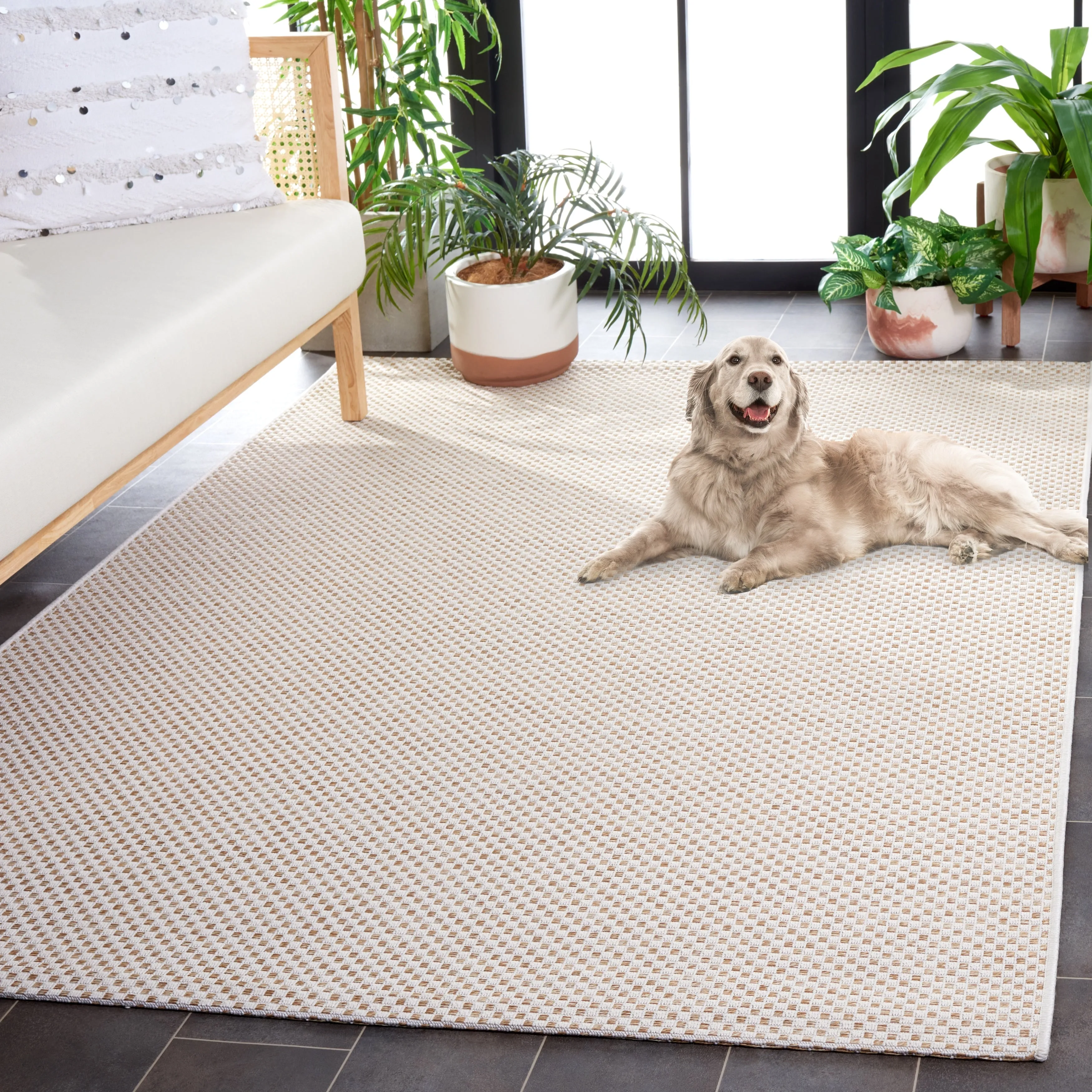 SAFAVIEH Sisal All Weather Tishie Indoor/Outdoor Waterproof Patio Backyard