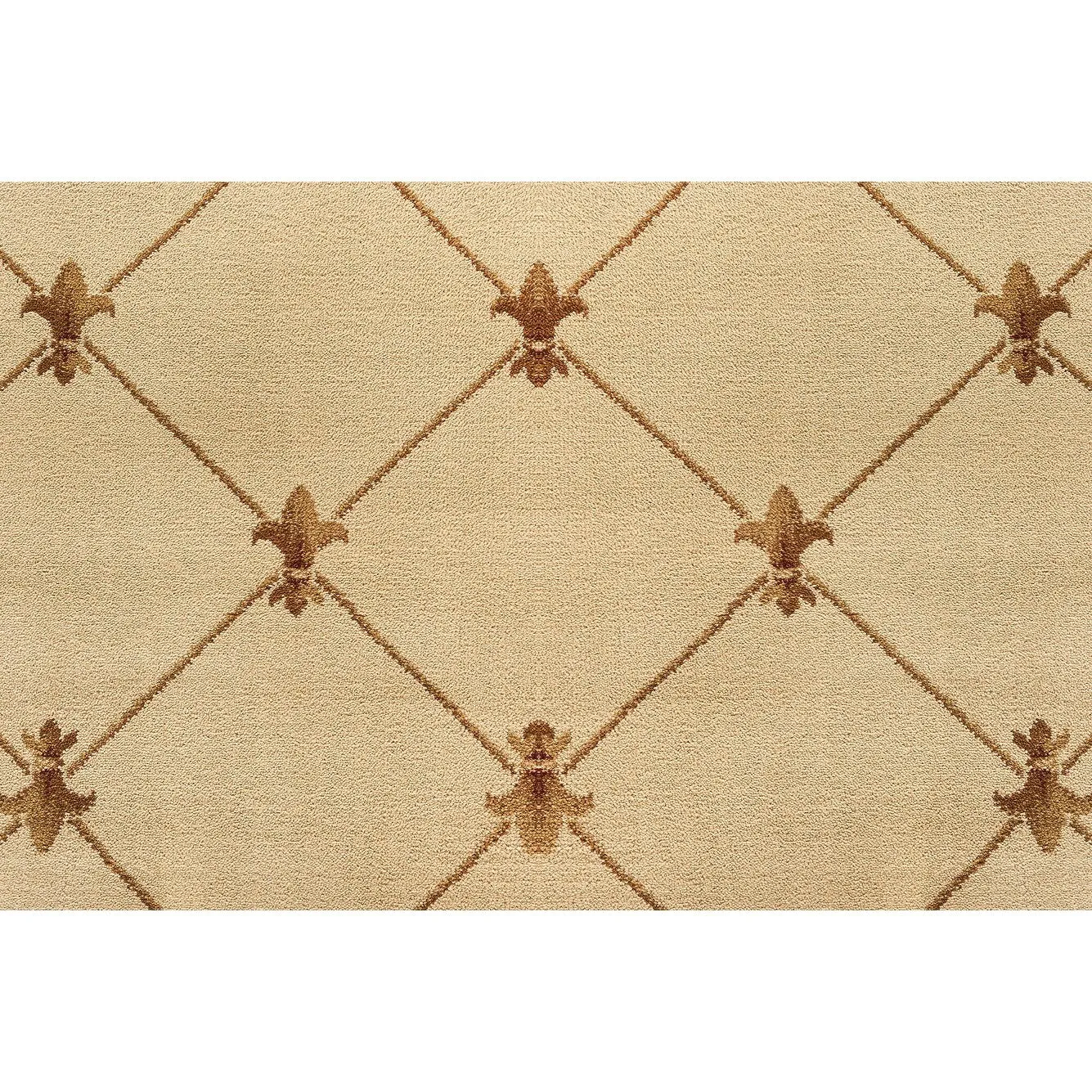 Soho Traditional Scroll Indoor Area Rug