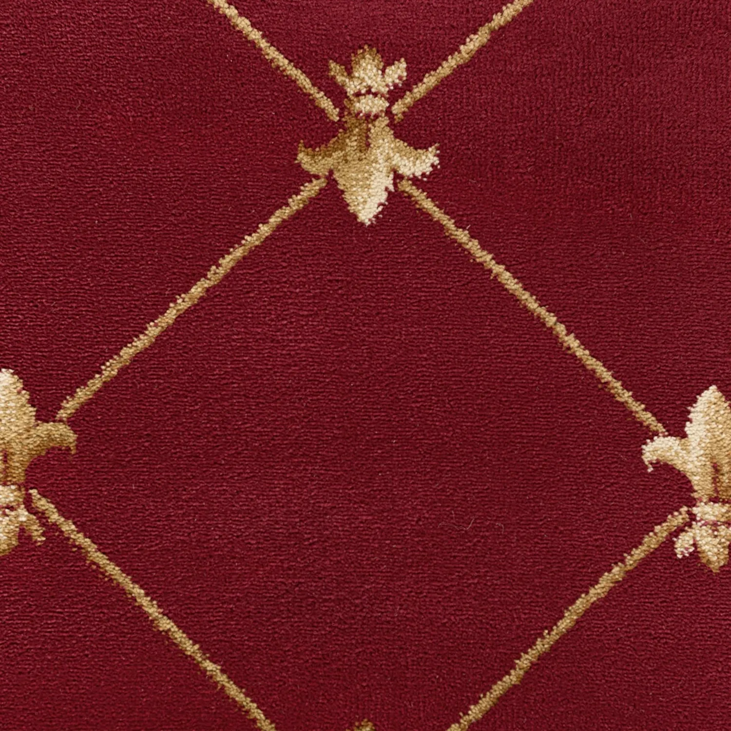 Soho Traditional Scroll Indoor Area Rug