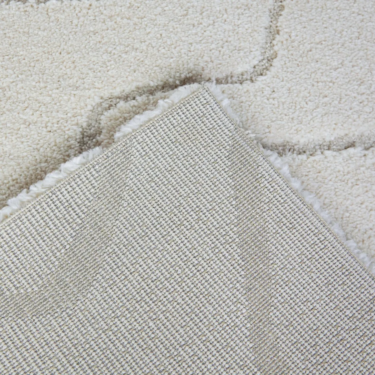 Tanya Abstract Modern Area Rug