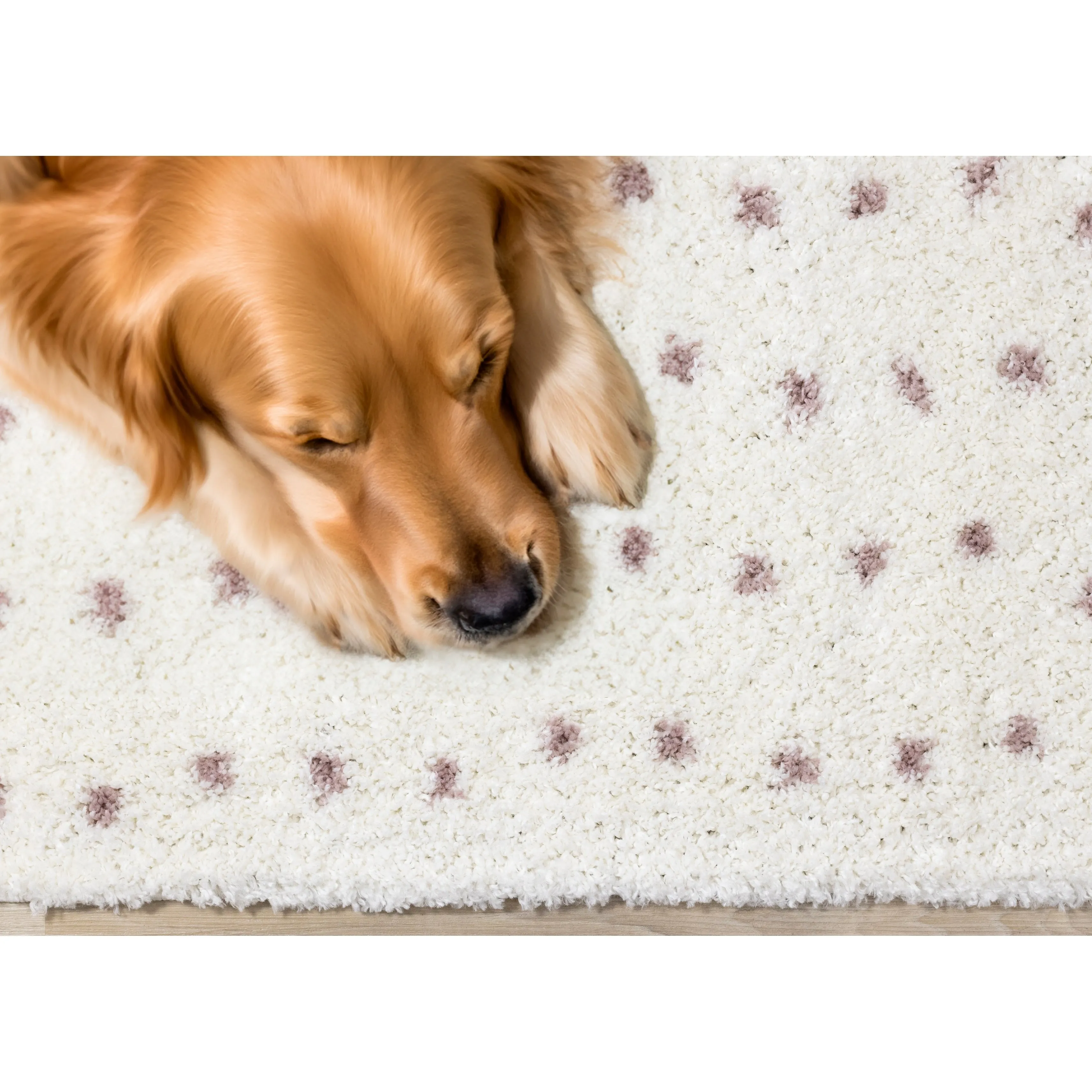 Taylor Collection - Cream Pink Dots Soft Area Rug