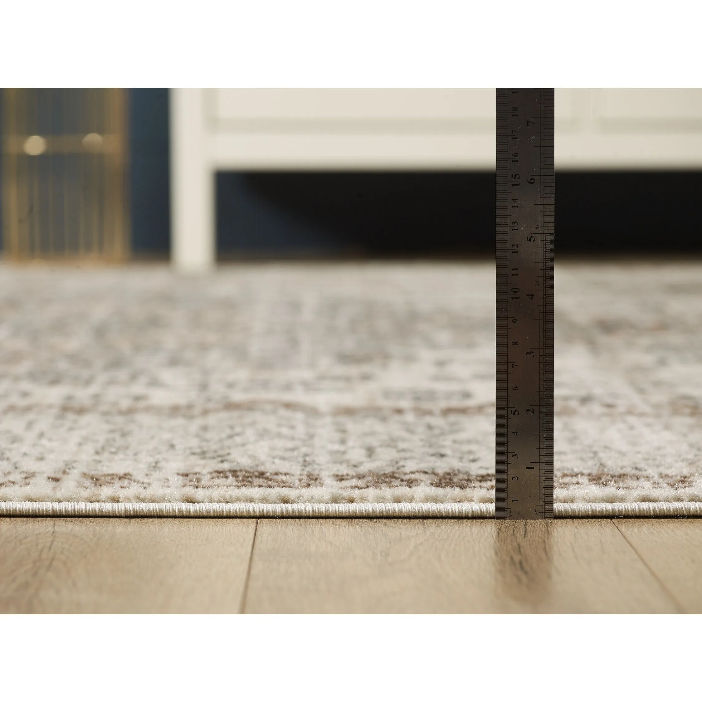 Traditional Cream/Beige Oriental Area Rug