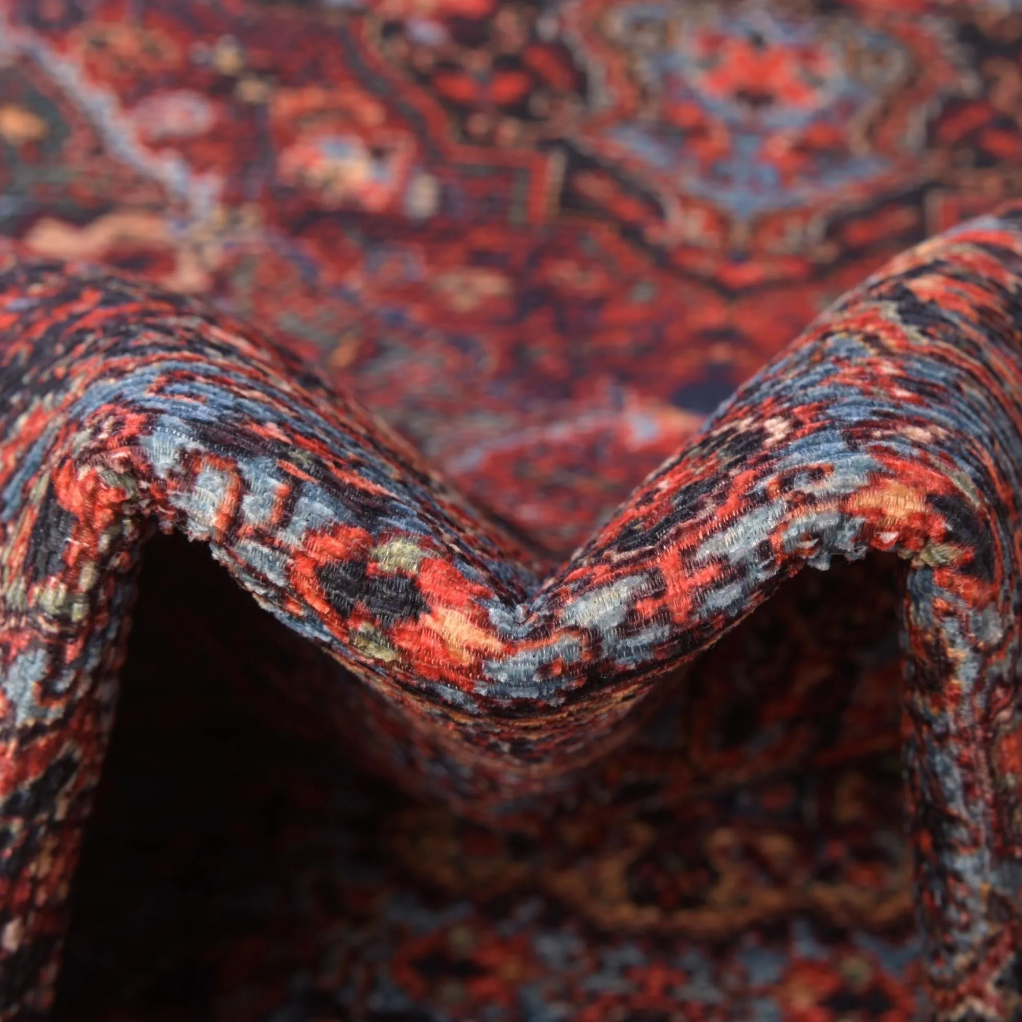 Traditional Rine Collection Area Rug