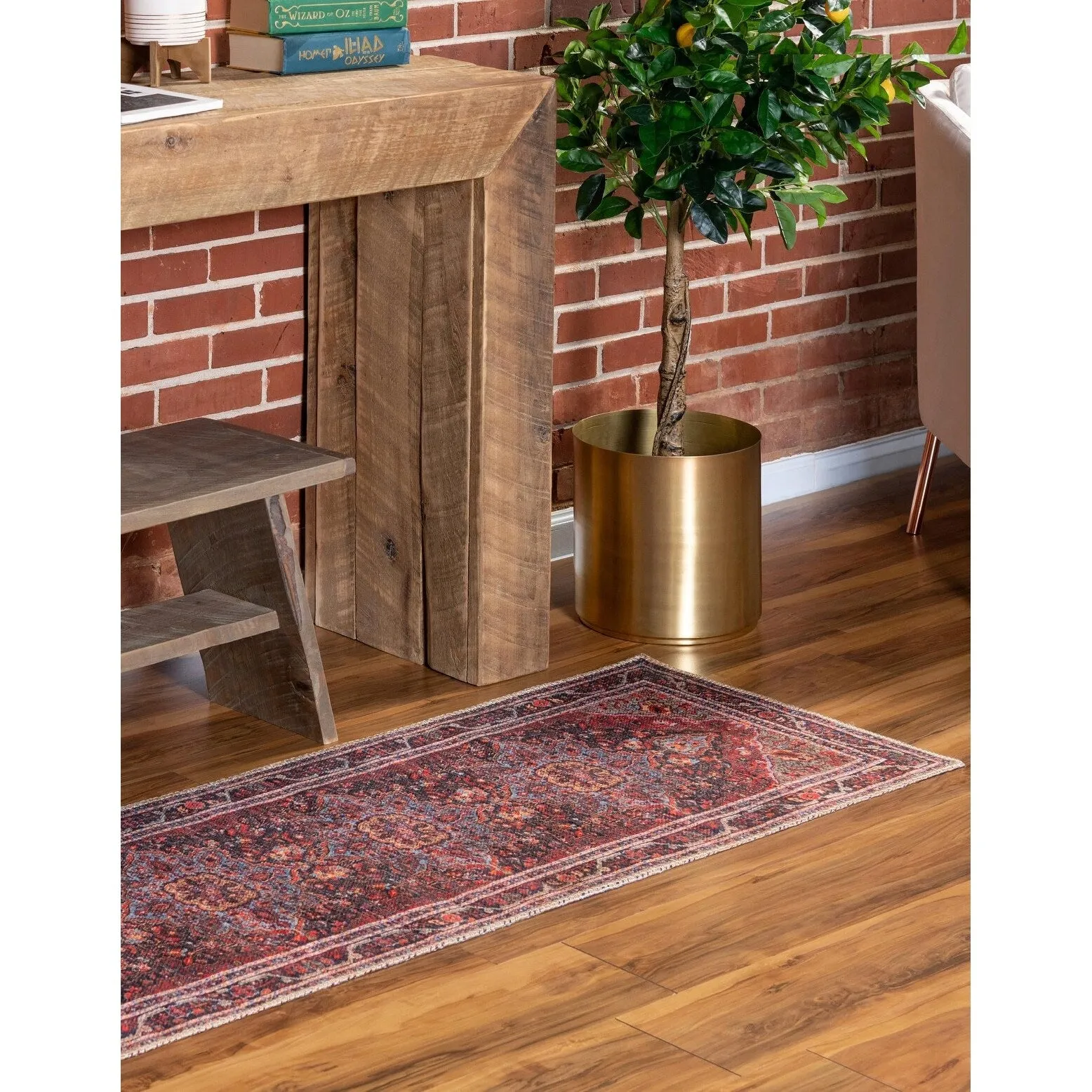 Traditional Rine Collection Area Rug