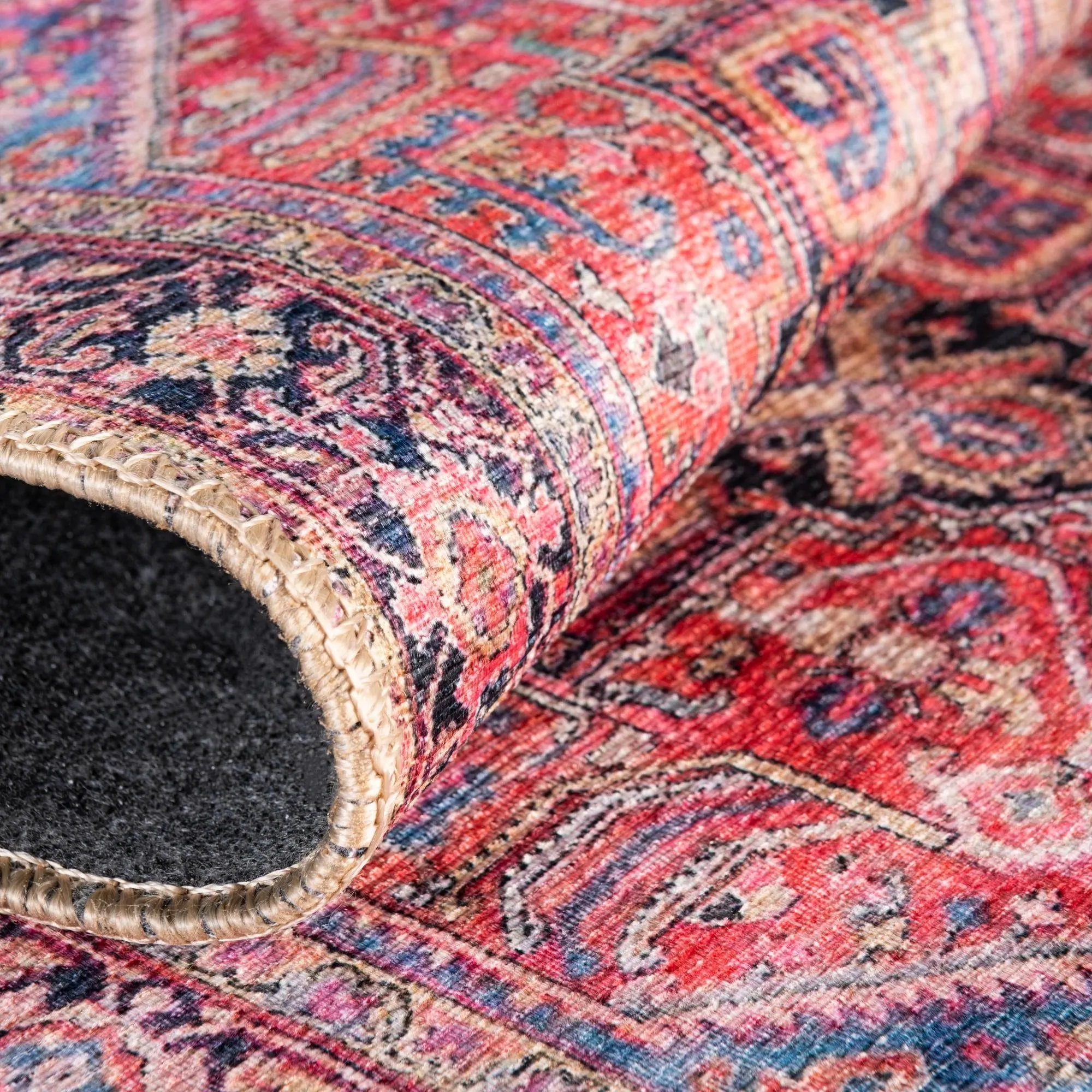 Traditional Rine Collection Area Rug