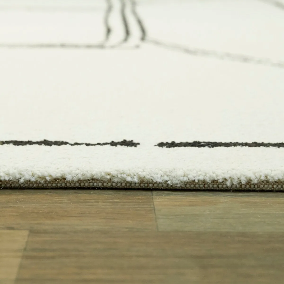 Webster Abstract Modern Area Rug